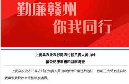 爆料违法乱纪的新闻,某部门官员涉嫌违法乱纪,引发社会广泛关注 第2张 爆料违法乱纪的新闻,某部门官员涉嫌违法乱纪,引发社会广泛关注 第2张