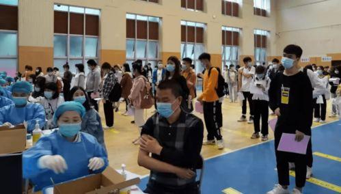 文安何小姐最新爆料消息,揭秘事件背后惊人真相 第2张 文安何小姐最新爆料消息,揭秘事件背后惊人真相 第2张